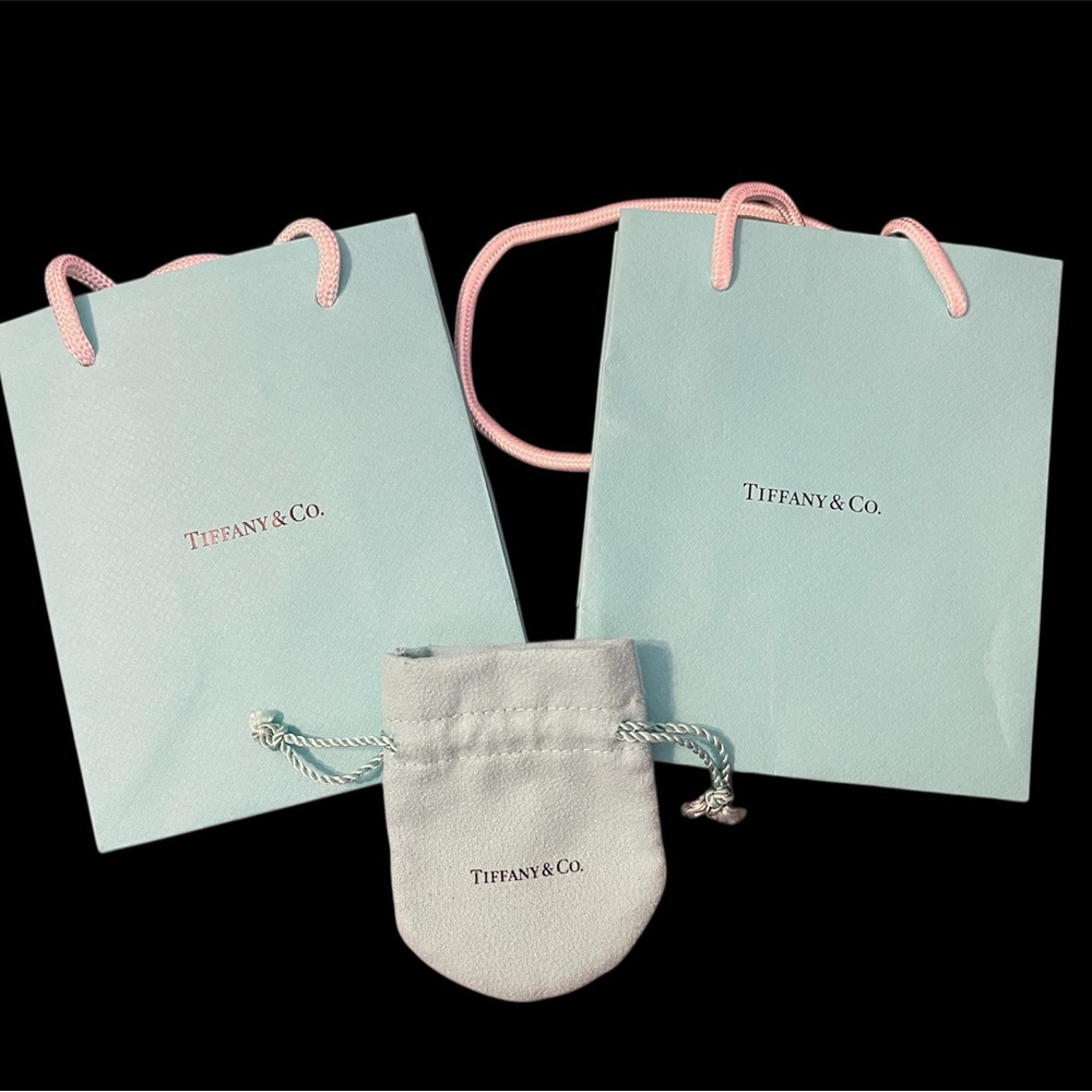Tiffany & Co. Blue gift Bags with felt Pouch